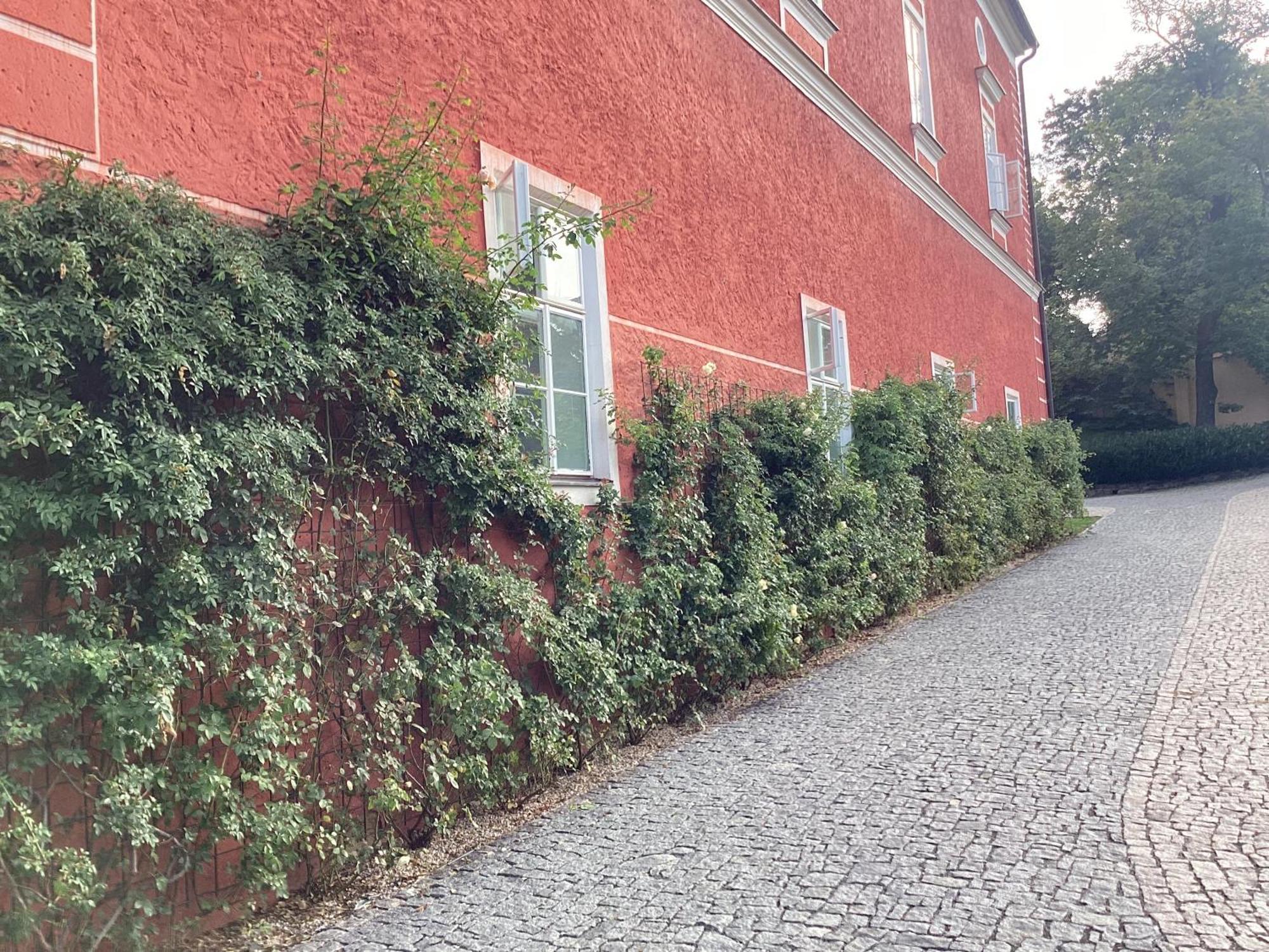 Antonio Residence Škvorec エクステリア 写真